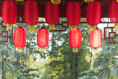 Red chinese lanterns hanging with trees in sunlight in the background in BaiHuaTan public park, Chengdu, China photo