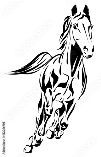 Beautiful horse image, vector