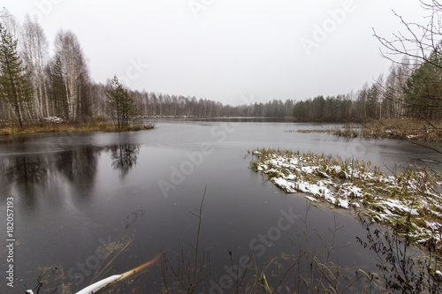 the forest on the edge of the lake by a foggy day