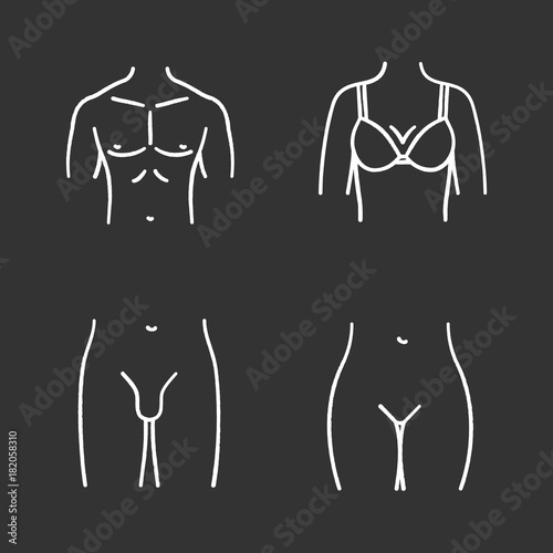 Human body parts chalk icons set