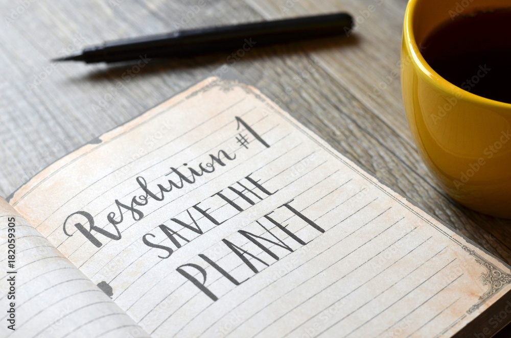 RESOLUTION No. 1 : SAVE THE PLANET brush calligraphy in notebook RESOLUTION No. 1 : SAVE THE PLANET brush calligraphy in notebook