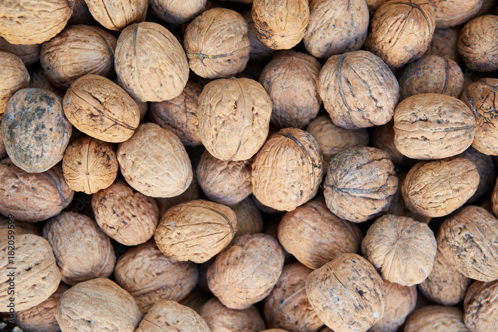 Juglans regia - walnut. Juglans regia - walnut.