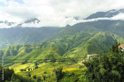 sight of the fields of rice cultivated in terraces in the Sapa valey in Vietnam. © ahau1969
