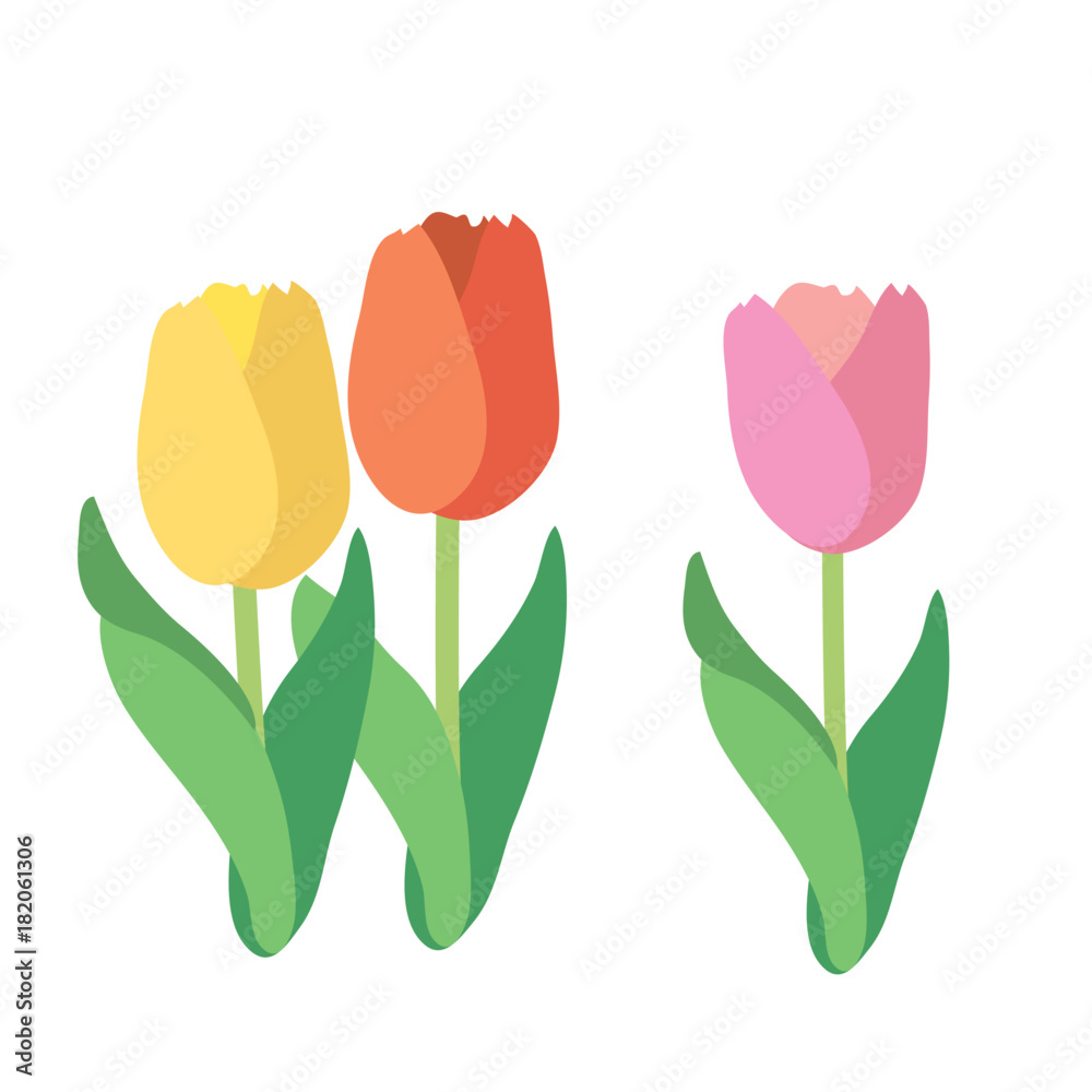 春 チューリップ イラスト Stock Vector Adobe Stock