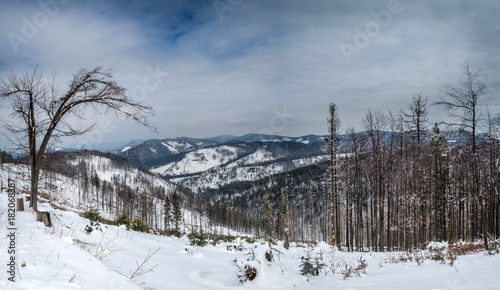Panorama of the winter landscape in the mountains.