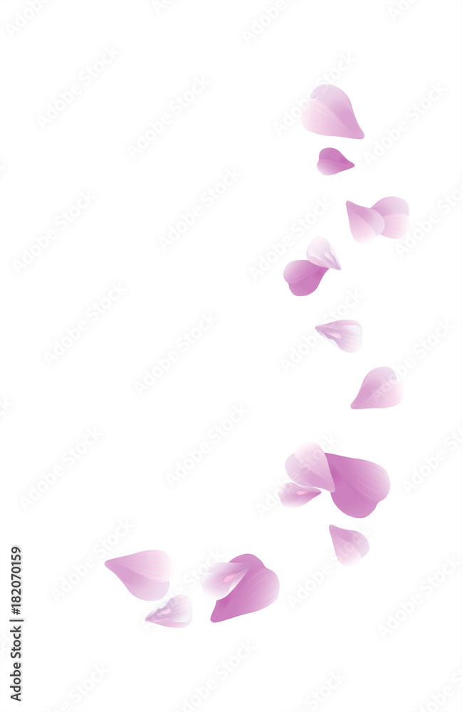 Purple Violet flying petals isolated on White background. Sakura Roses petals. Vector Purple Violet flying petals isolated on White background. Sakura Roses petals. Vector