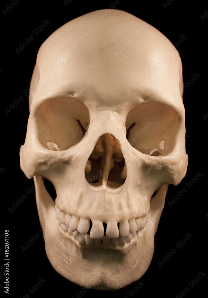 Obraz premium www.mediamilitia.com