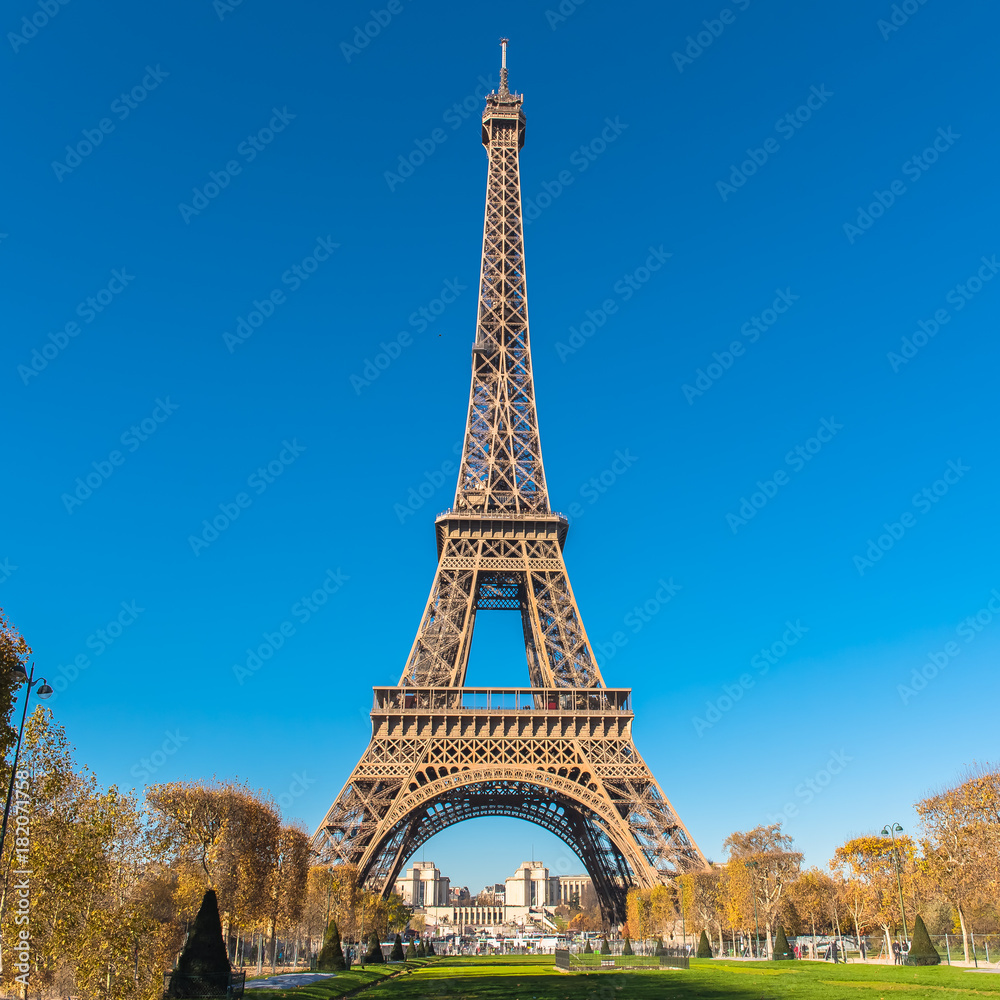 Paris, Eiffel tower, panorama from the Champ de Mars, with the Trocadero place behind
