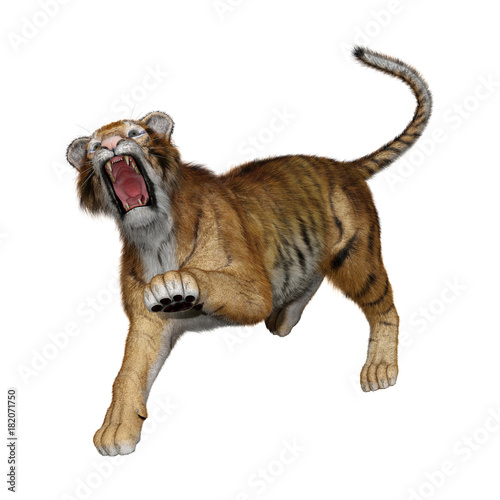 Fototapeta Naklejka Na Ścianę i Meble -  3D Rendering Big Cat Tiger on White