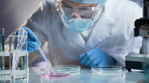 Scientist carefully carrying matured cell to another plate, conducting research photo