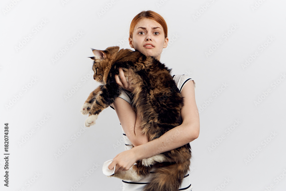 Young beautiful woman on white isolated background holds a cat, pets, joy