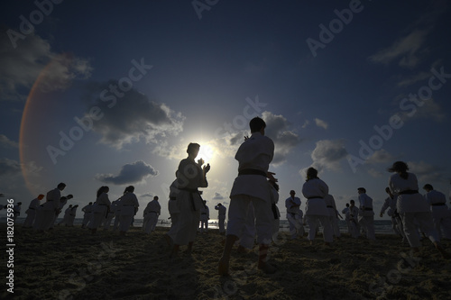 Karate fighters practicing on the sea beach