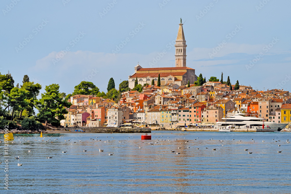 View of Rovinj downtown in the Summer
