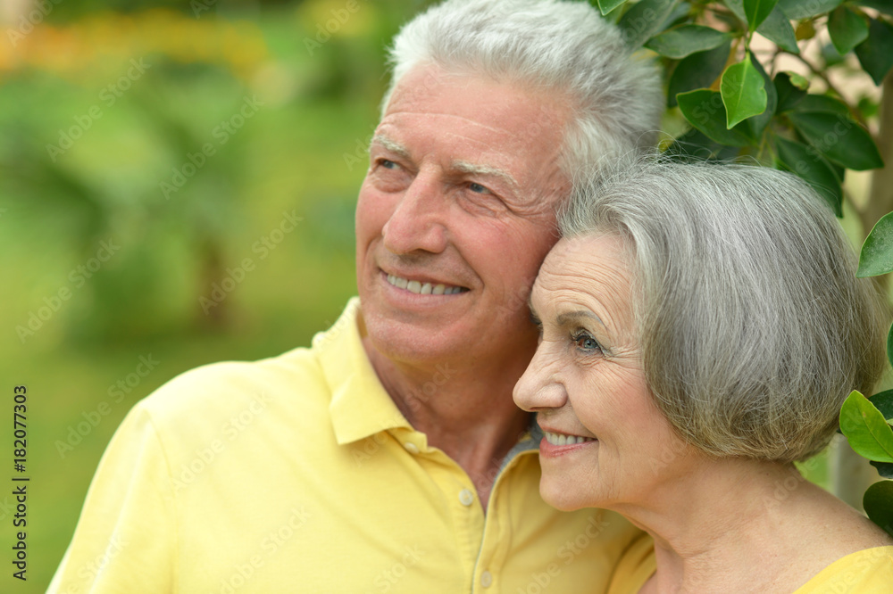 senior couple hugging senior couple hugging