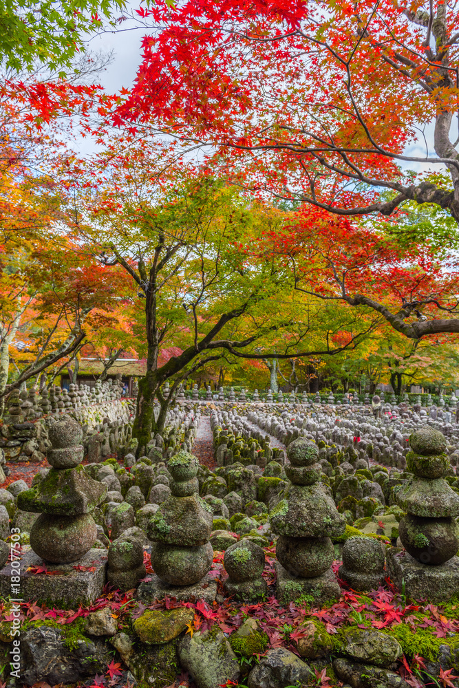 Naklejka premium Adashinonenbutsuji Buddhist temple in Ukyo-ku, Kyoto, Japan
