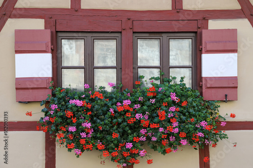 Windows with flower © michael715