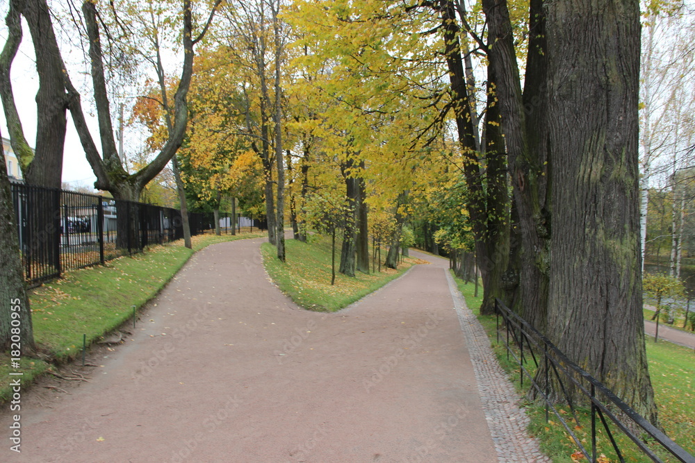 Obraz premium Park Jesienią
