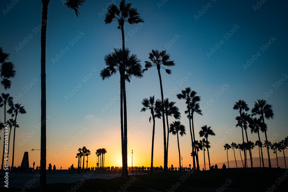 Obraz premium venice beach