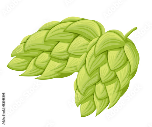 Vector hop cone isolated on white background.Visual graphic icons or logos