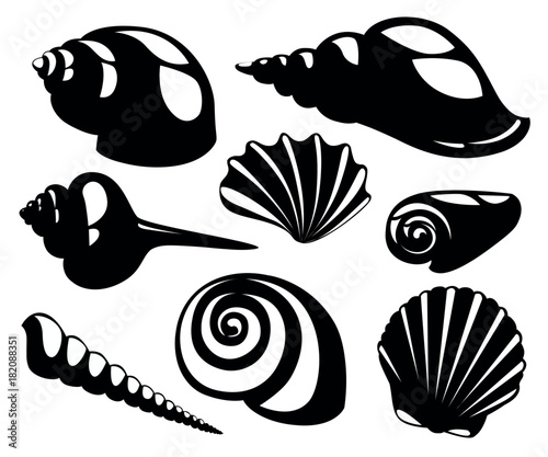 Vector sea shells and pearl seashell silhouettes isolated on white background