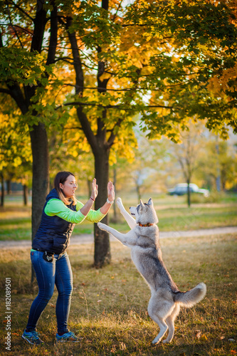 Girl playing with husky dog in city park