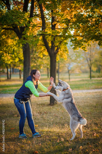 Girl playing with husky dog in city park
