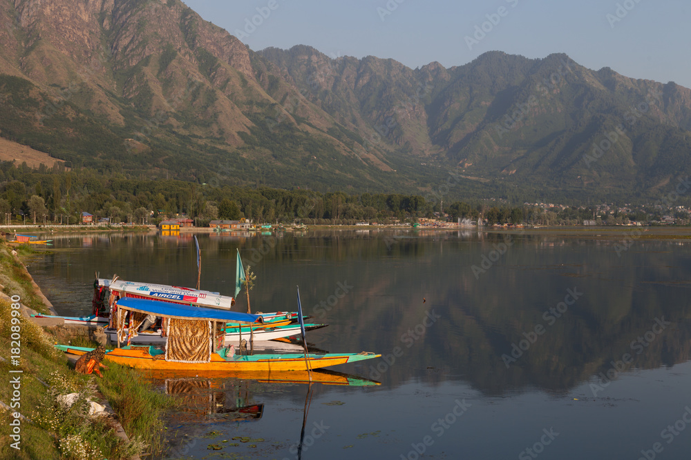 Naklejka premium The Dal lake and the shikaras - Srinagar, Kashmir, India