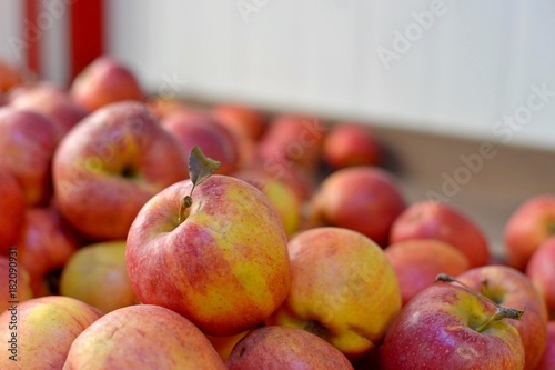 Tasty fresh red apples at grocery store.Buy & eat natural vitamin food.Farmer market department in food shop.Box of fruits on sale in fridge.Ripe red apples & oranges at food aisle in food department photo