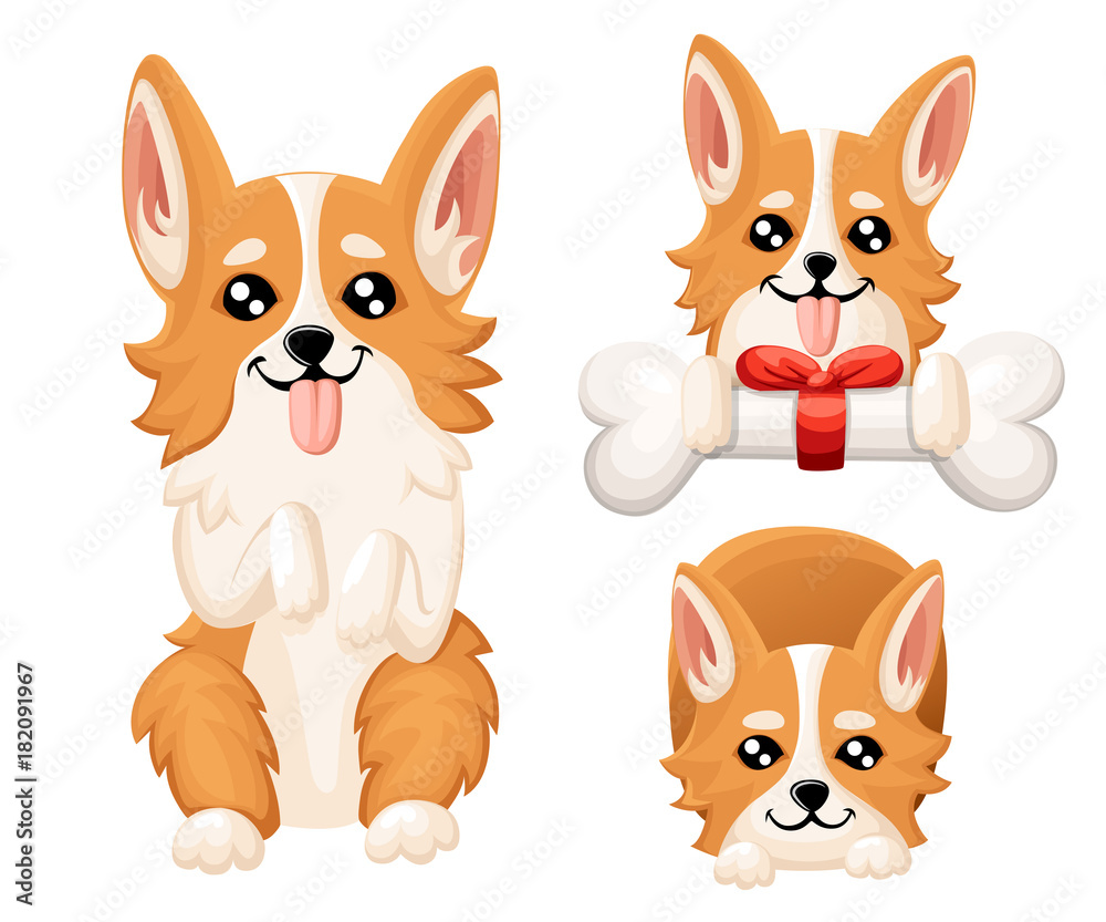 Vector illustration of cute dog Welsh Corgi. Nice puppy for greeting card, pet shop or veterinary clinics. Dog Welsh Corgi standing Web site page and mobile app design element