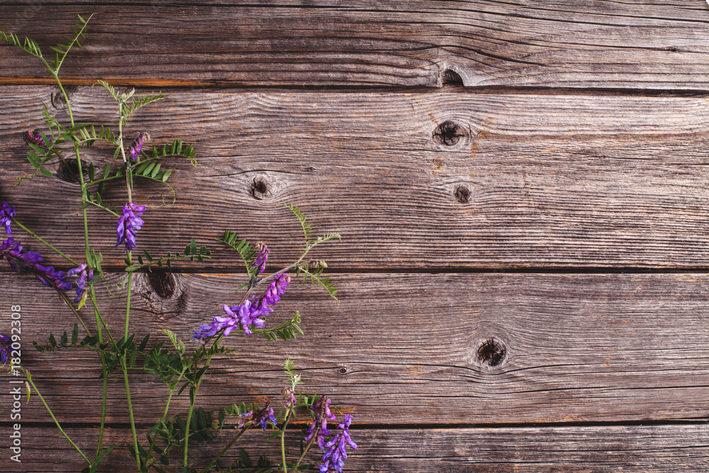 Fototapeta premium Violet summer flowers on wooden background, flat lay