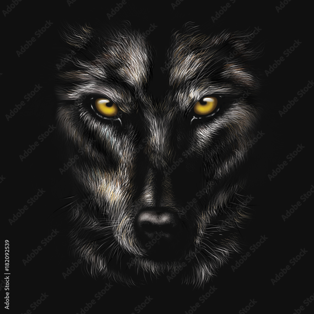 Fototapeta rysunek odręczny portret czarnego wilka