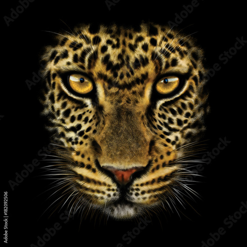 hand-drawing portrait of a leopard