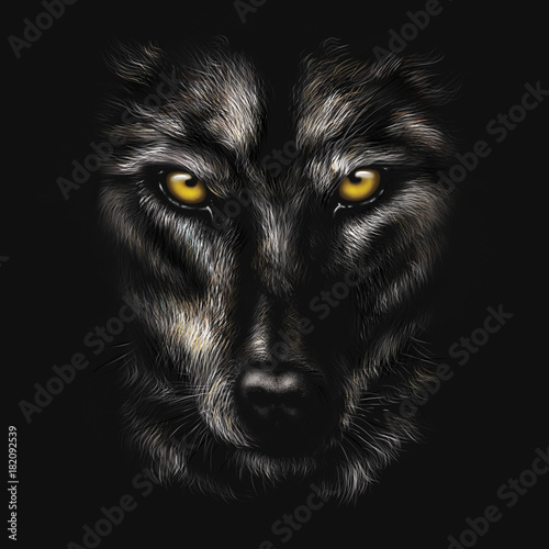Fototapeta rysunek odręczny portret czarnego wilka