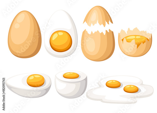 Chicken Eggs. Roasted, boiled, raw, sliced, cracked egg vector set. Isolated on white background.