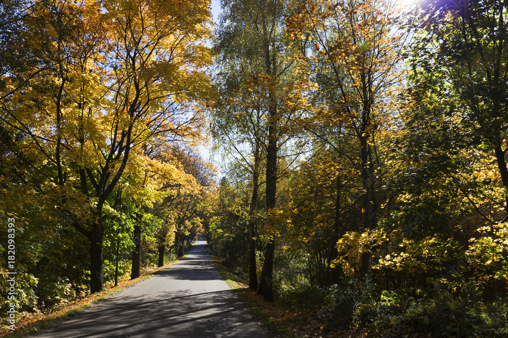 Fototapeta premium Colorful autumn country Landscape in central Bohemia, Czech Republic