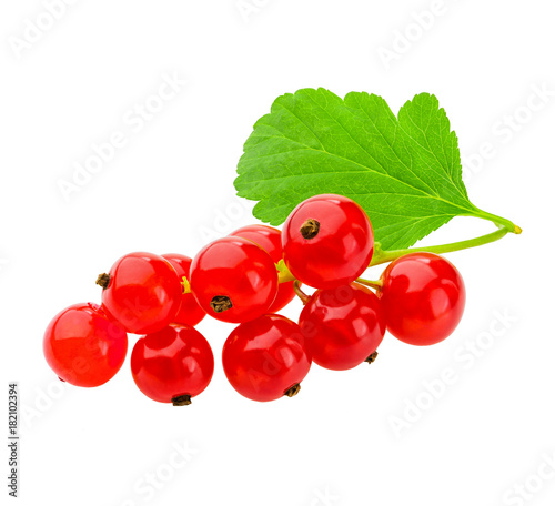 red currant berries isolated