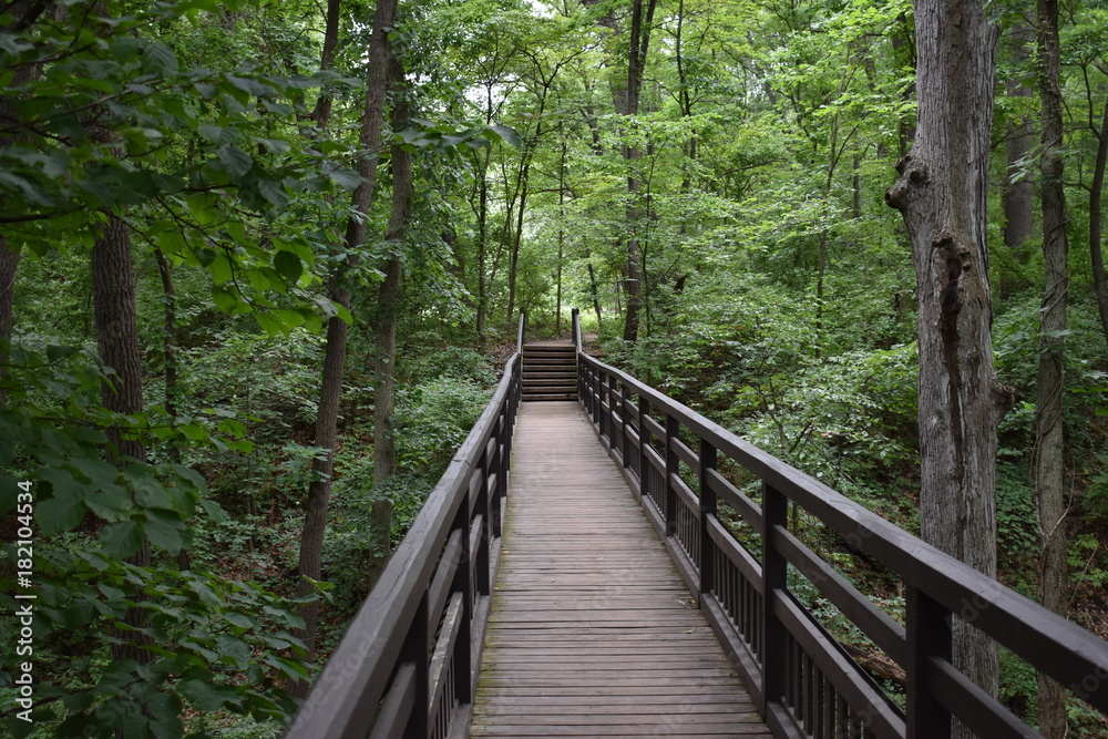 Wooden Bridge Wooden Bridge