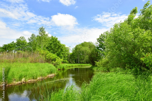 The river, which hid in the green of summer