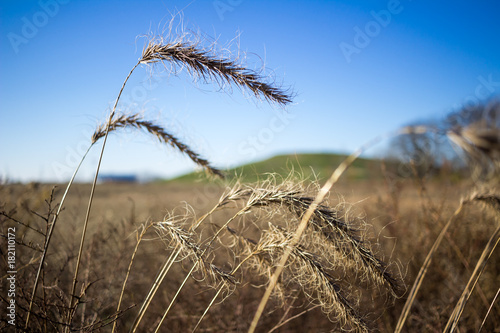 Prairieland photo