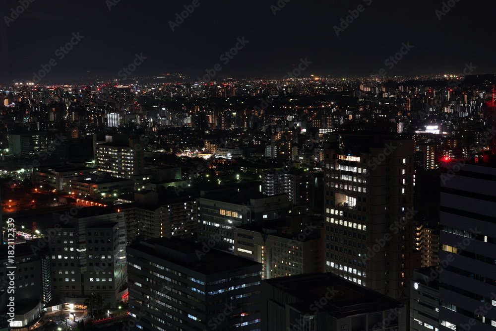 福岡タワーからの福岡市夜景