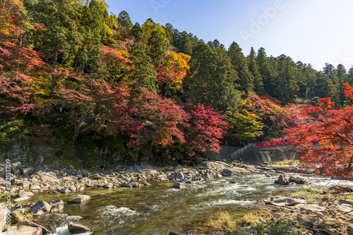 紅葉美しい香嵐渓