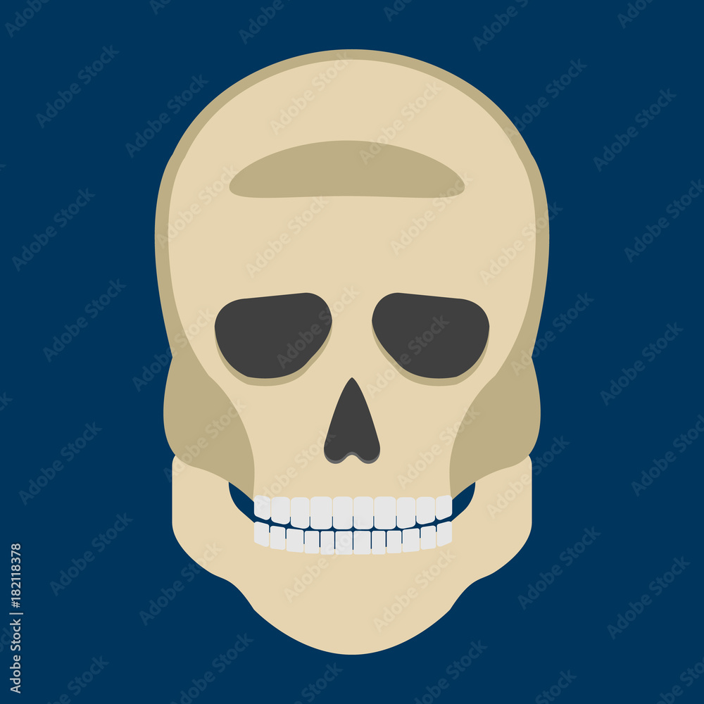 Human Skeleton Skull front side Silhouette. Isolated on White Background. Icon Vector illustration