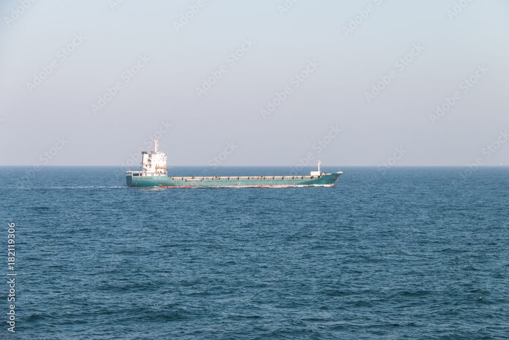 Cargo ship sailing in the sea