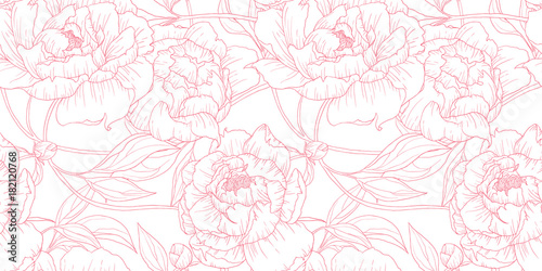 Plakat Wzór, ręcznie rysowane kontur różowe kwiaty piwonii na białym tle