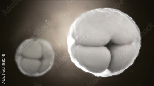 3d CG animation of cleavage of egg