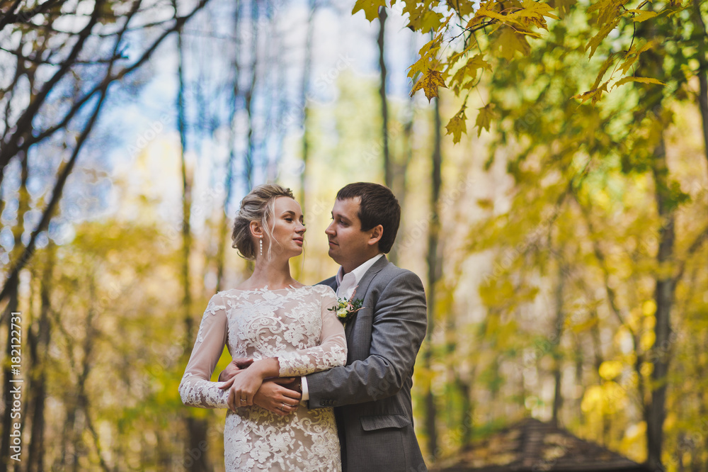 A beautiful portrait of the newlyweds on the background of the autumn f A beautiful portrait of the newlyweds on the background of the autumn f