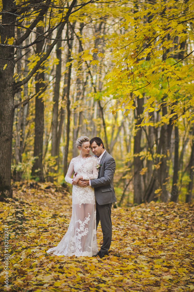 Portrait in full growth of the newlyweds embracing on a background of ye Portrait in full growth of the newlyweds embracing on a background of ye
