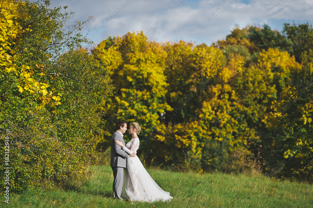 Portrait of the newlyweds on the background of the yellowing of the gard