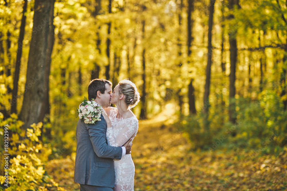 Portrait of the newlyweds in sunlit autumn woods 255. Portrait of the newlyweds in sunlit autumn woods 255.