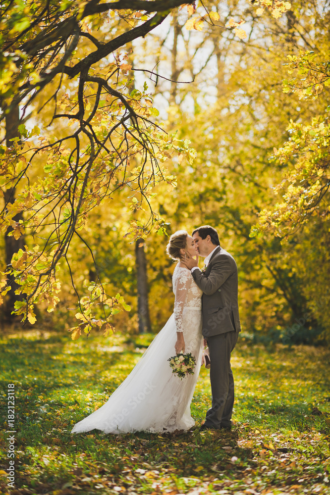 The bride and groom walking in the autumn forests paths 306. The bride and groom walking in the autumn forests paths 306.